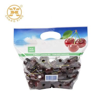 500g Vegetables Resealable Stand Up Pouch Bags Dry Fruits Packaging Pouch Zipper Top
