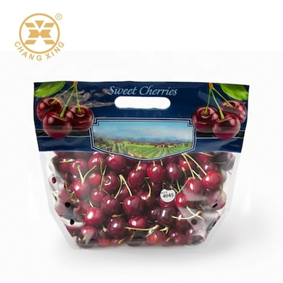100g 500g drogen Fruit Verpakkende Zakken met Gat Vers Vriendschappelijk Cherry Stand Up Pouches Eco